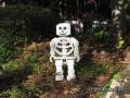 legoland013